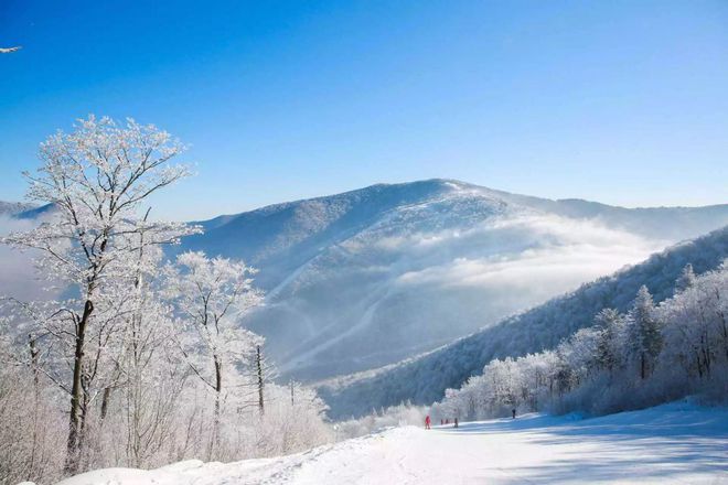 谈球吧体育app：盘点国内五大滑雪场 错过又要等一年(图2)