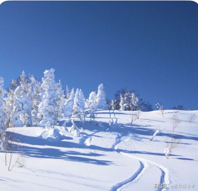 谈球吧体育：五大滑雪胜地你不心动算我输(图2)